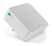 Blaupunkt PMR 100 Chrome Cast Haut-Parleur sans Fil intégré Multi-pièces avec entrée auxiliaire sans Fil avec Fonction Bluetooth Plug Design Classique dans la boîte