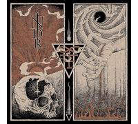 Near Death Revelations