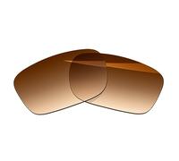 BlazerBuck Verres de rechange polarisés anti-sel pour lunettes de soleil RayBan Andy RB4202 55 mm, Marron dégradé., 0