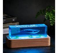 BLCKTIGR Lampe en résine océanique Artisanale, Diorama Marin 3D avec mégalodon, Baleine et Dauphin, décoration de Chevet LED Cristal, alimentée par USB pour(E)