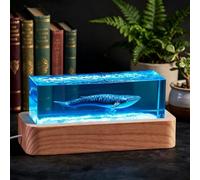BLCKTIGR Lampe en résine océanique Artisanale, Diorama Marin 3D avec mégalodon, Baleine et Dauphin, décoration de Chevet LED Cristal, alimentée par USB pour(D)