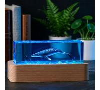 BLCKTIGR Lampe en résine océanique Artisanale, Diorama Marin 3D avec mégalodon, Baleine et Dauphin, décoration de Chevet LED Cristal, alimentée par USB pour(B)