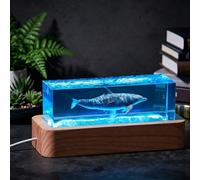 BLCKTIGR Lampe en résine océanique Artisanale, Diorama Marin 3D avec mégalodon, Baleine et Dauphin, décoration de Chevet LED Cristal, alimentée par USB pour(C)