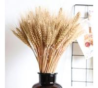 Blé Séché | 100 Épis De Blé | Naturel Gerbes Blé Séché | Bouquet De Blé Naturel Doré | Épis Blé Tas Blé pour Accessoires Tir Décoration Mariage