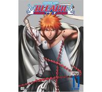 Bleach 11