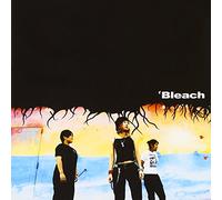 Bleach