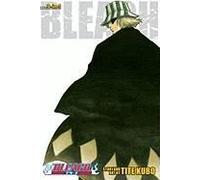 Bleach (3-In-1 Edition), Vol. 2