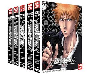 Bleach-Intégrale Saison 4