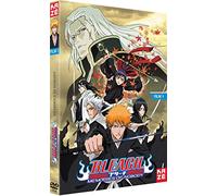 Bleach – Le Film 1 : Memories of Nobody – KAZE – DVD – Édition Simple
