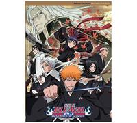 Bleach Memories Of Nobody [Dvd]