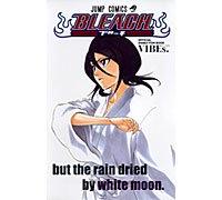 Bleach: Official Animation Book Vibes