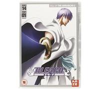 Bleach-Series 14-Pt 1 (2 DVD) [Edizione: Regno Unito] [Import]