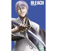 Bleach Soul Society Sennyuu-He [Import allemand]