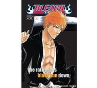 Bleach SOULs Tite Kubo (Auteur)