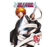 Bleach The Substitute Vol 6