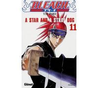 Bleach - Tome 11: A star and a stray dog
