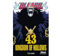 Bleach - Tome 43: Kingdom of hollows