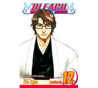Bleach, Vol. 12