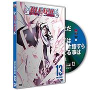 Bleach – tome 13 – KAZE