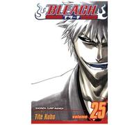 Bleach, Vol. 25