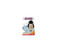 Bleach, Vol. 28