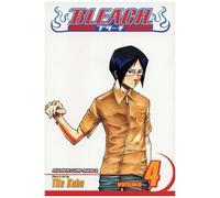 Bleach, Vol. 4