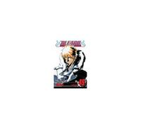 Bleach, Vol. 49