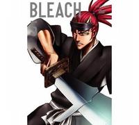 Bleach Vol.5 [Import]