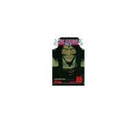 Bleach, Vol. 55