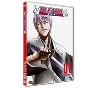 Bleach, vol. 7
