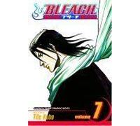 Bleach, Vol. 7