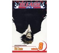 Bleach, Vol. 8