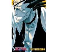 Bleach, Volumes 13-15