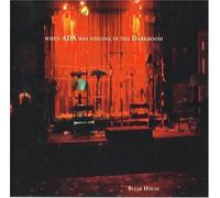 Bleak House - When Ada Was Singing in The Darkroom