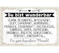 Blechschild 18x12 cm du bist wunderbar. Ein ganz besonderer Mensch