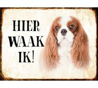 Blechschild 20x30 cm holländisch Hier Waak ik King Charles Spaniel