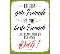 Blechschild 30x40 cm gute beste Freunde und dann gibt es Dich Schild