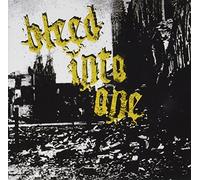 Bleed Into One - Scars Remain