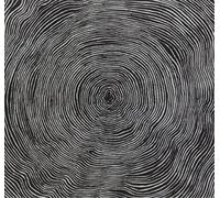 Bleeding Heart Pigeons – is – CD