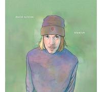 David Sylvian – Blemish – Vinyle 180 g LP – Import