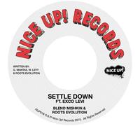 Blend Mishkin & Roots Evolution - Settle Down ft Exco Levi