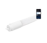 Blendend Tube LED MESH 0,6 m plastique 6500 K, efficace, haute luminosité, idéal pour l'éclairage dans les bureaux et les espaces commerciaux.