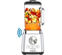 Blender MAGIMIX Power 5 XL Chrome Mat 11643