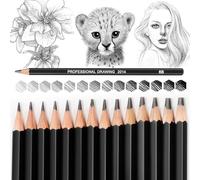 Blendura 14pcs Crayon Dessin Professionnels, 12B 10B 8B 7B 6B 5B 4B 3B 2B HB 2H 4H 6H, Ecriture Douce Croquis Crayon Papier Dessin, Adaptée aux Enfants, Adultes et Artistes Débutants