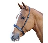 Blenheim - Caveçon cheval HUNTER (ER173)