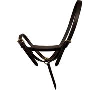 Blenheim - Licol en cuir pour poulain ER869 (Poulain) (Marron)