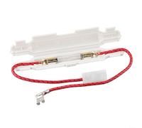 BlesConi Fusible haute tension 5kV pour four à micro-ondes - 0.65A à 0.9A (5kv0.65a)