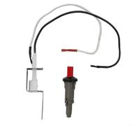 BlesConi Kit d'allumage piézo pour barbecue à gaz Weber Q (100 120 200 220 1000 2000)