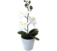 BlesConi Phalaenopsis 3D pour orchidée, bonsaï, fleur artificielle en pot pour décoration d'intérieur, salon, centre de table (blanc)
