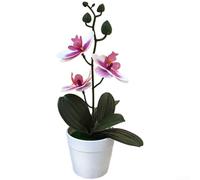BlesConi Phalaenopsis artificielle 3D pour orchidée, bonsaï, décoration d'intérieur, salon, centre de table (violet et blanc)